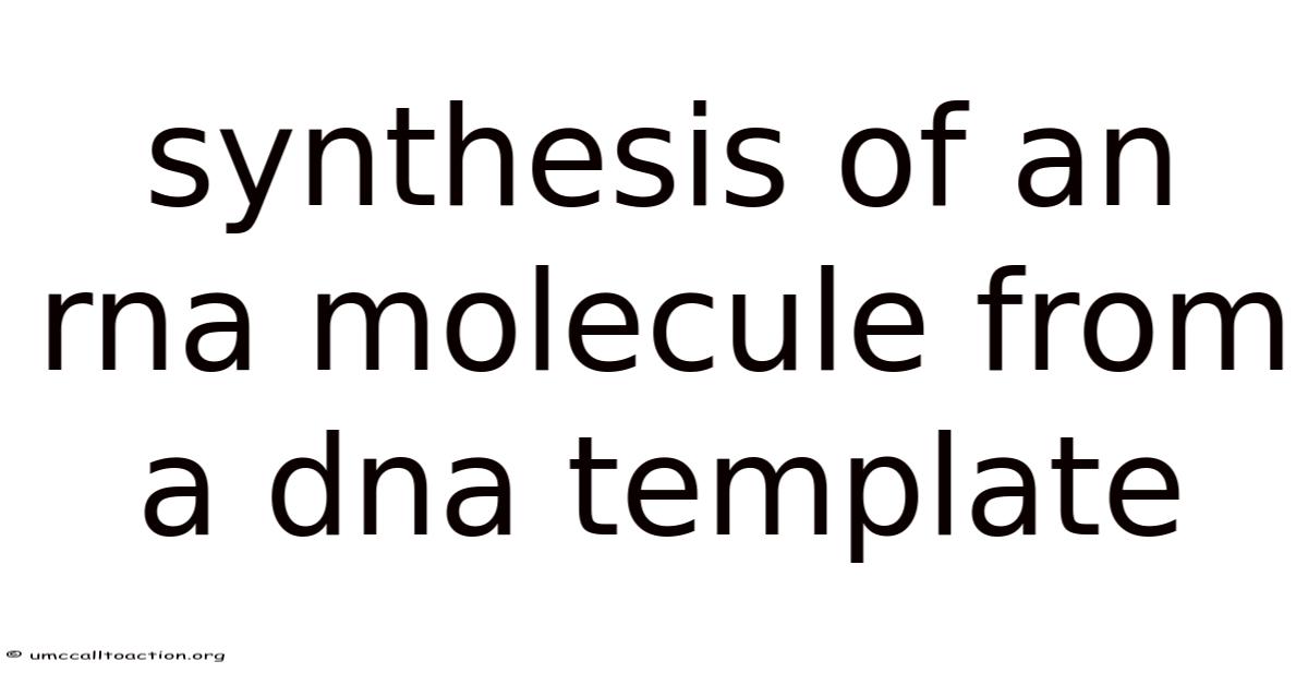 Synthesis Of An Rna Molecule From A Dna Template