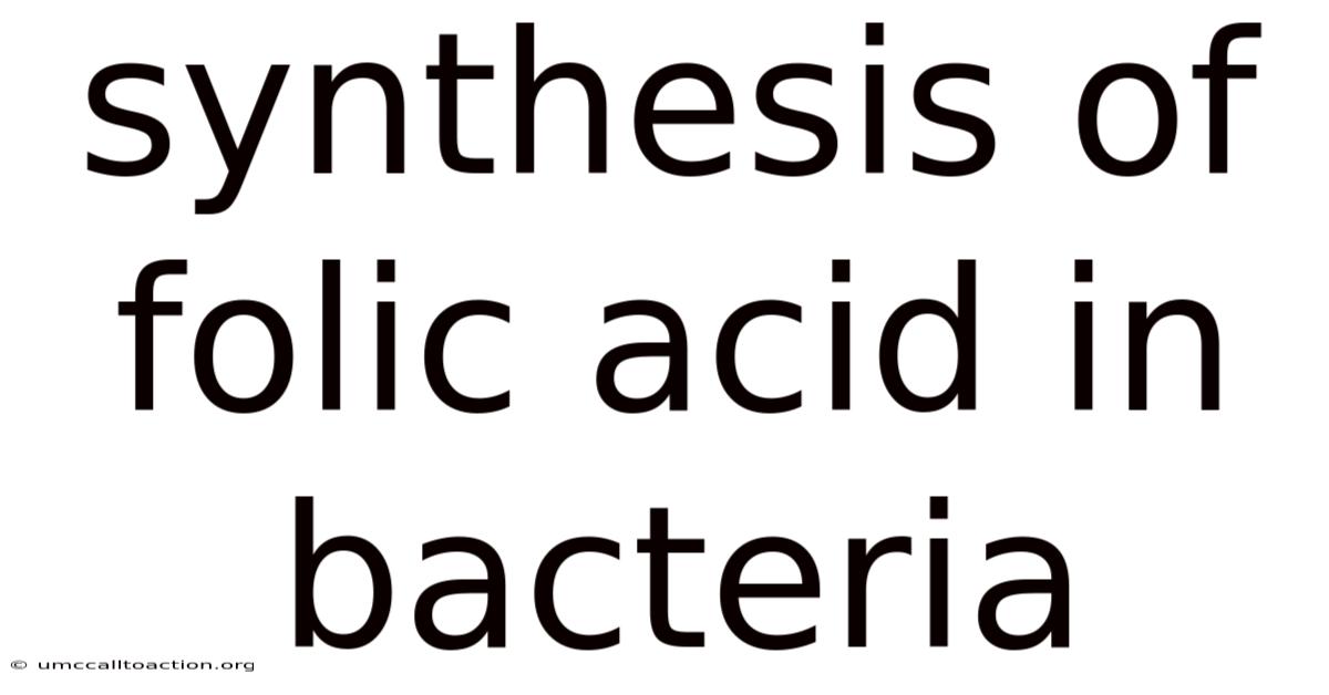 Synthesis Of Folic Acid In Bacteria