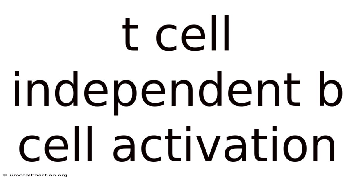 T Cell Independent B Cell Activation