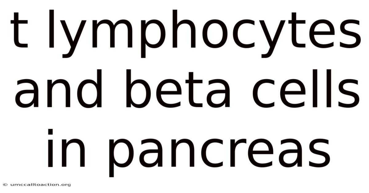 T Lymphocytes And Beta Cells In Pancreas