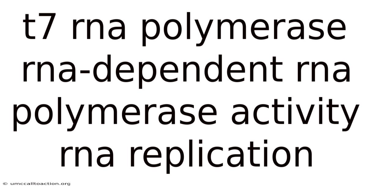 T7 Rna Polymerase Rna-dependent Rna Polymerase Activity Rna Replication