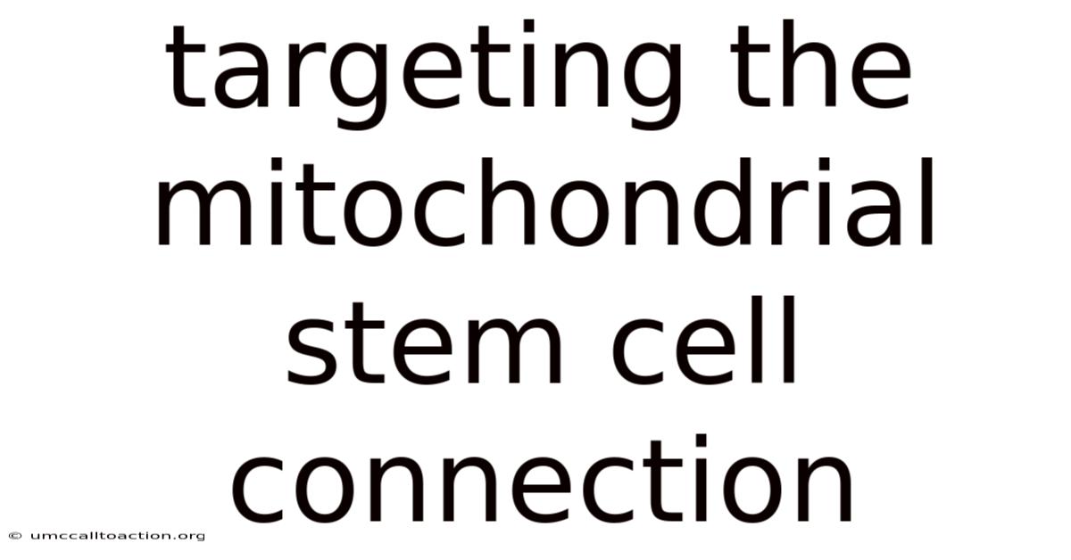 Targeting The Mitochondrial Stem Cell Connection
