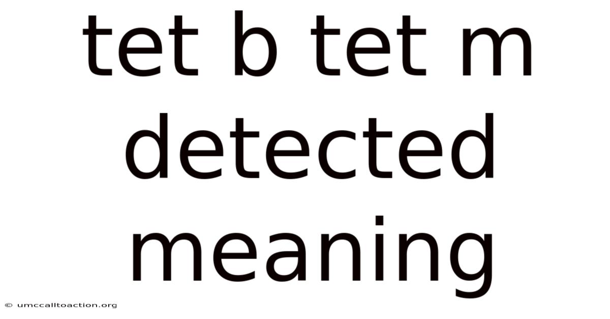 Tet B Tet M Detected Meaning