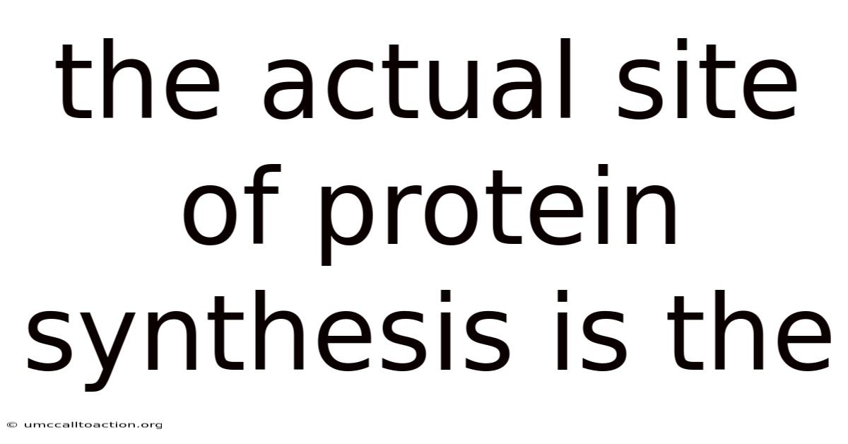 The Actual Site Of Protein Synthesis Is The