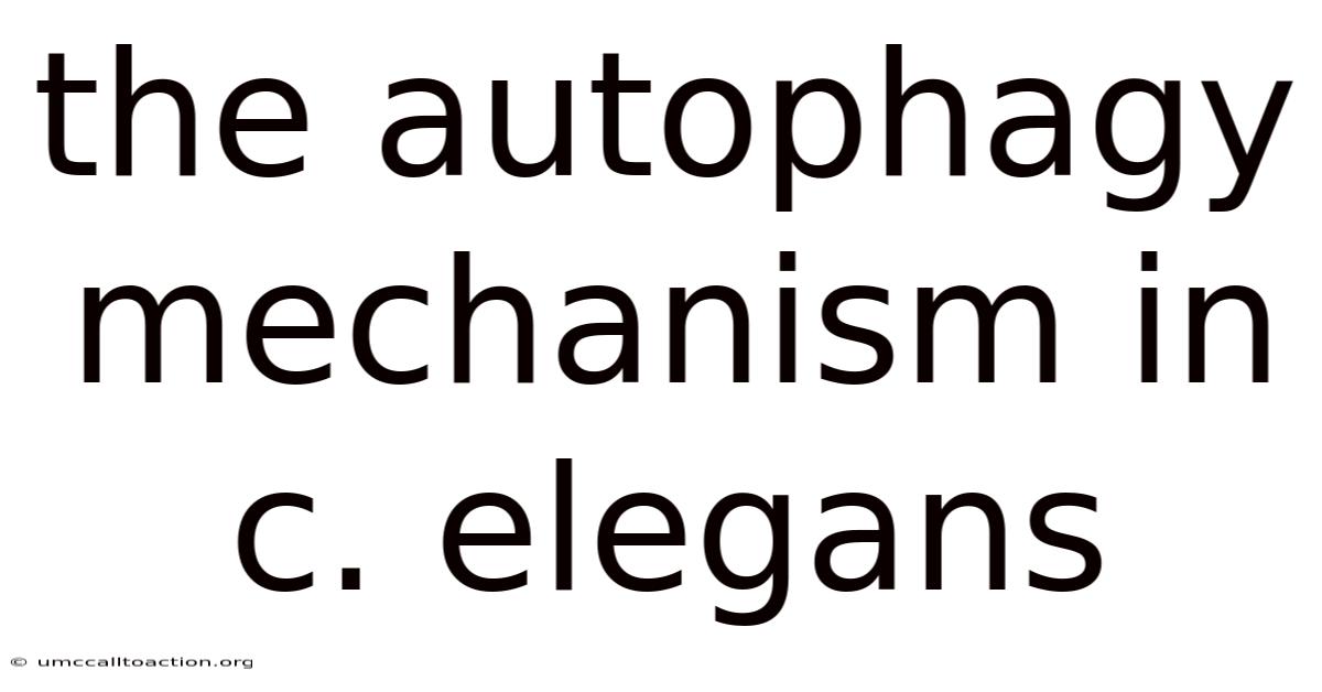 The Autophagy Mechanism In C. Elegans