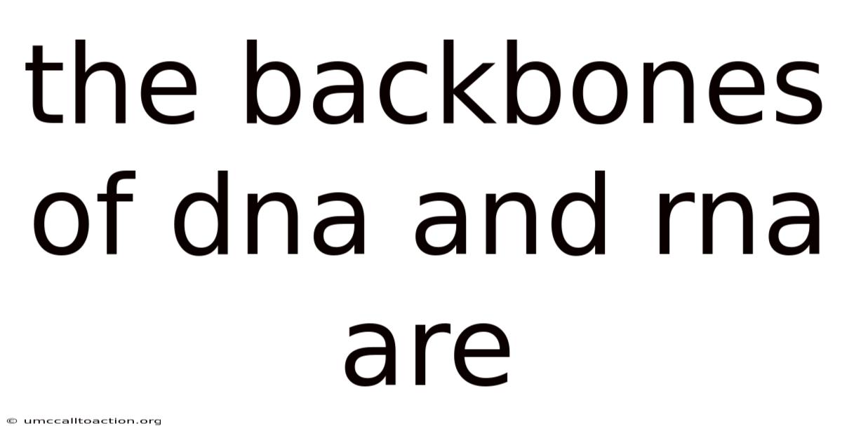 The Backbones Of Dna And Rna Are