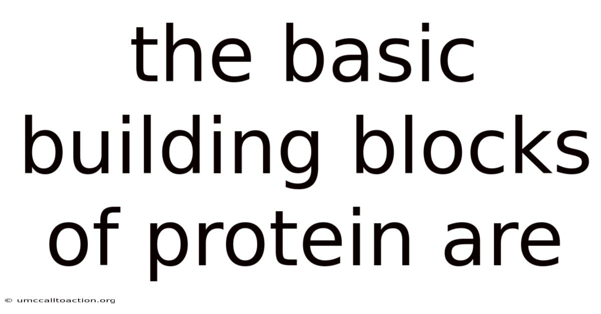 The Basic Building Blocks Of Protein Are