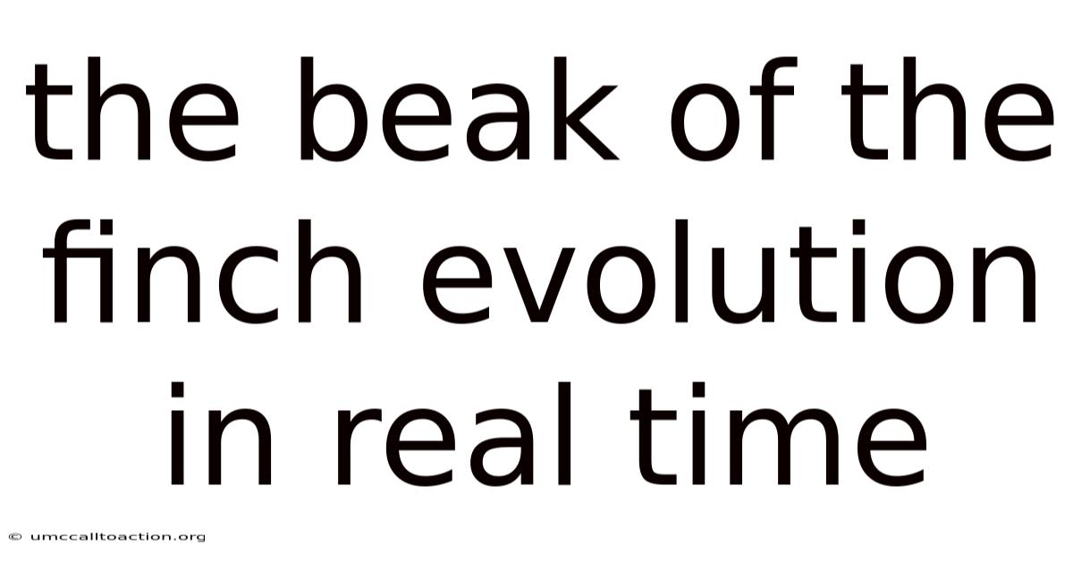 The Beak Of The Finch Evolution In Real Time