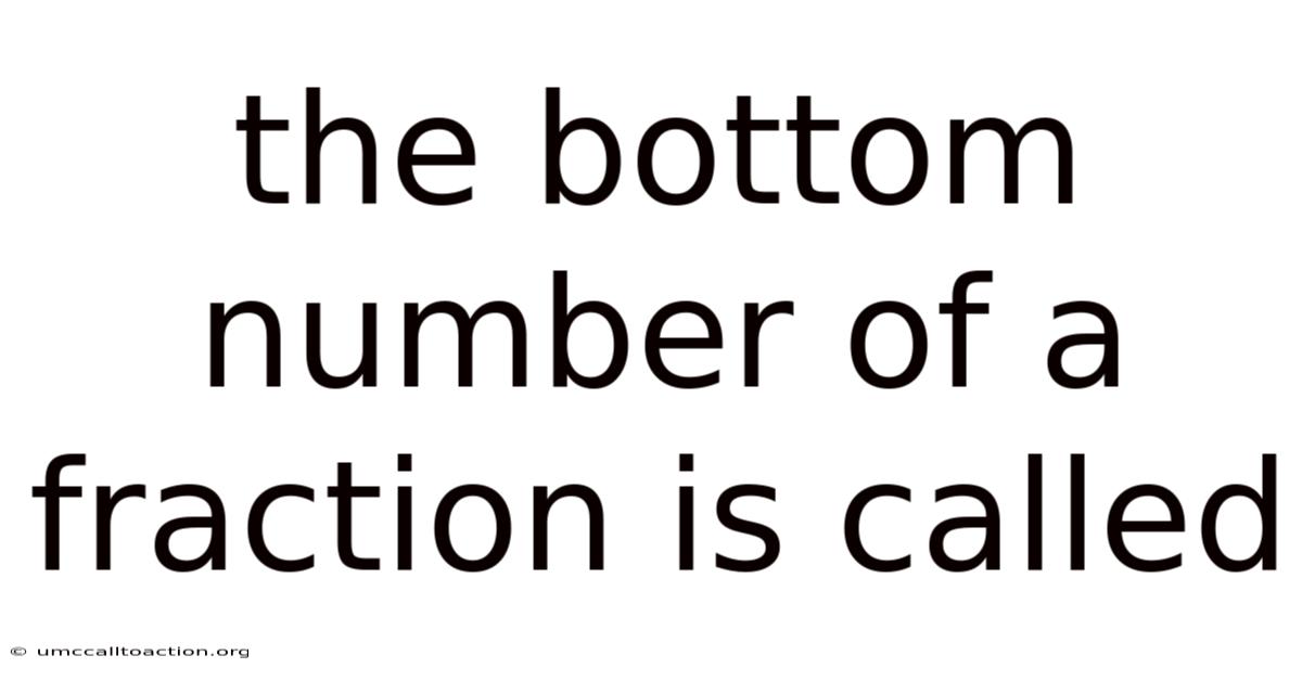 The Bottom Number Of A Fraction Is Called