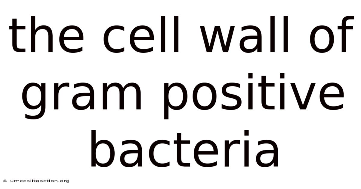 The Cell Wall Of Gram Positive Bacteria