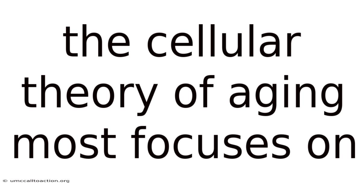 The Cellular Theory Of Aging Most Focuses On