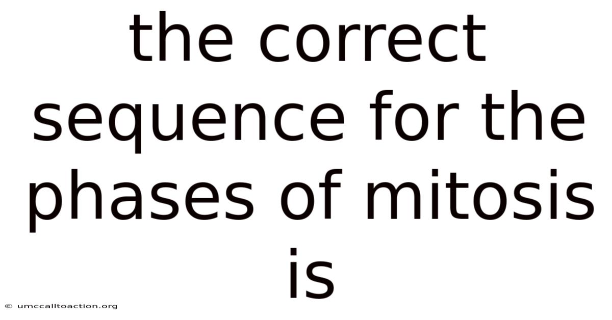 The Correct Sequence For The Phases Of Mitosis Is