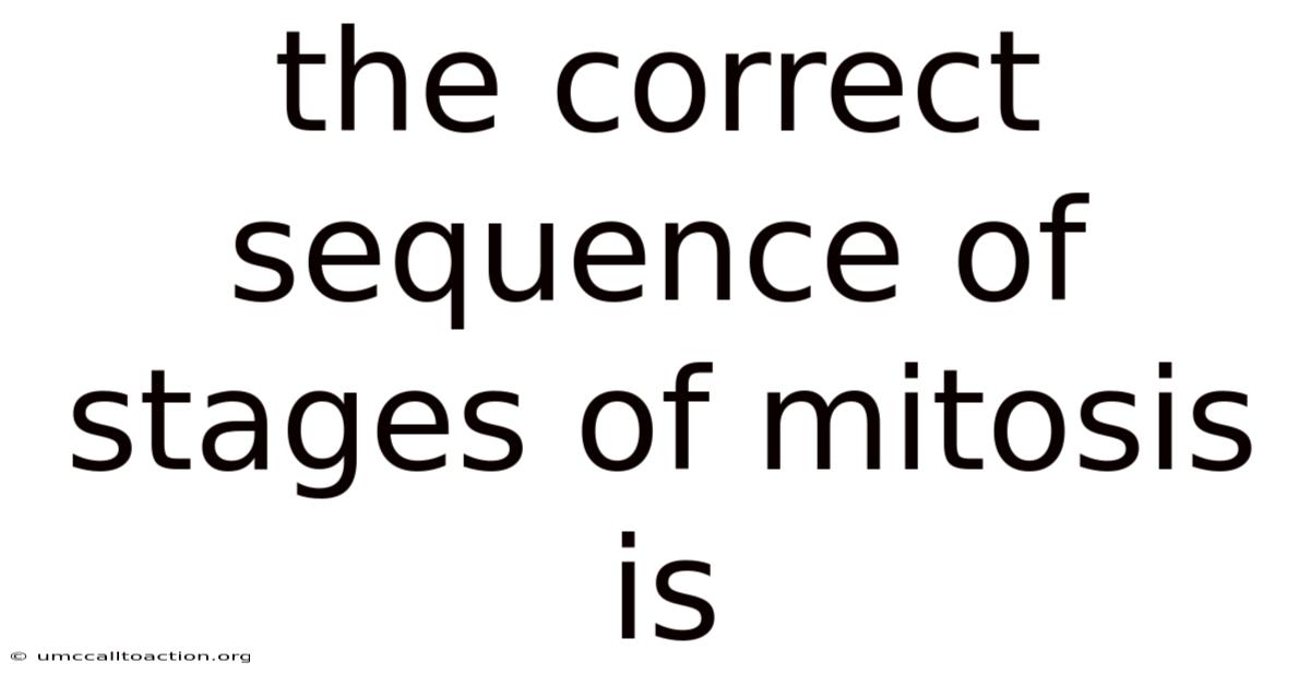 The Correct Sequence Of Stages Of Mitosis Is