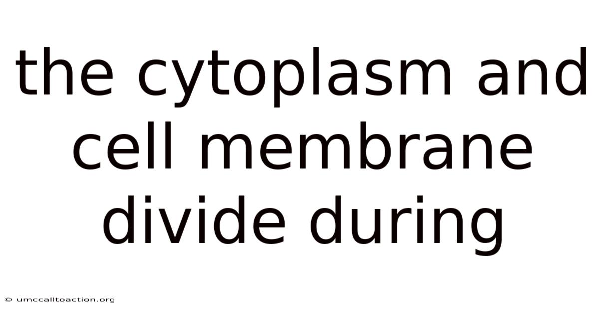 The Cytoplasm And Cell Membrane Divide During