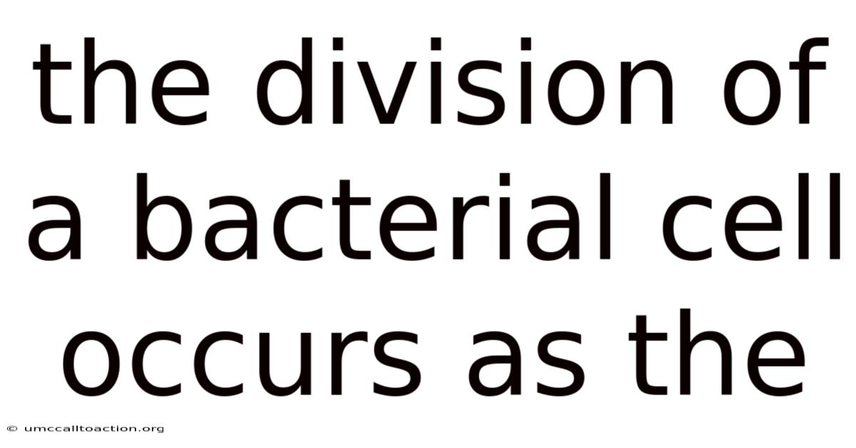 The Division Of A Bacterial Cell Occurs As The