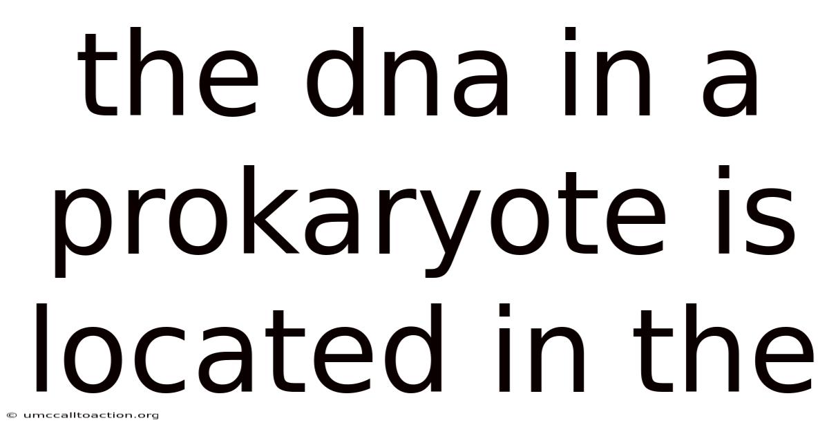 The Dna In A Prokaryote Is Located In The