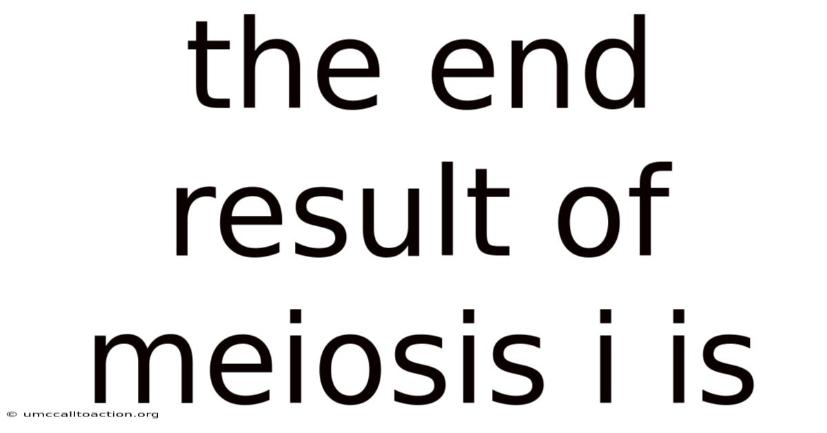 The End Result Of Meiosis I Is