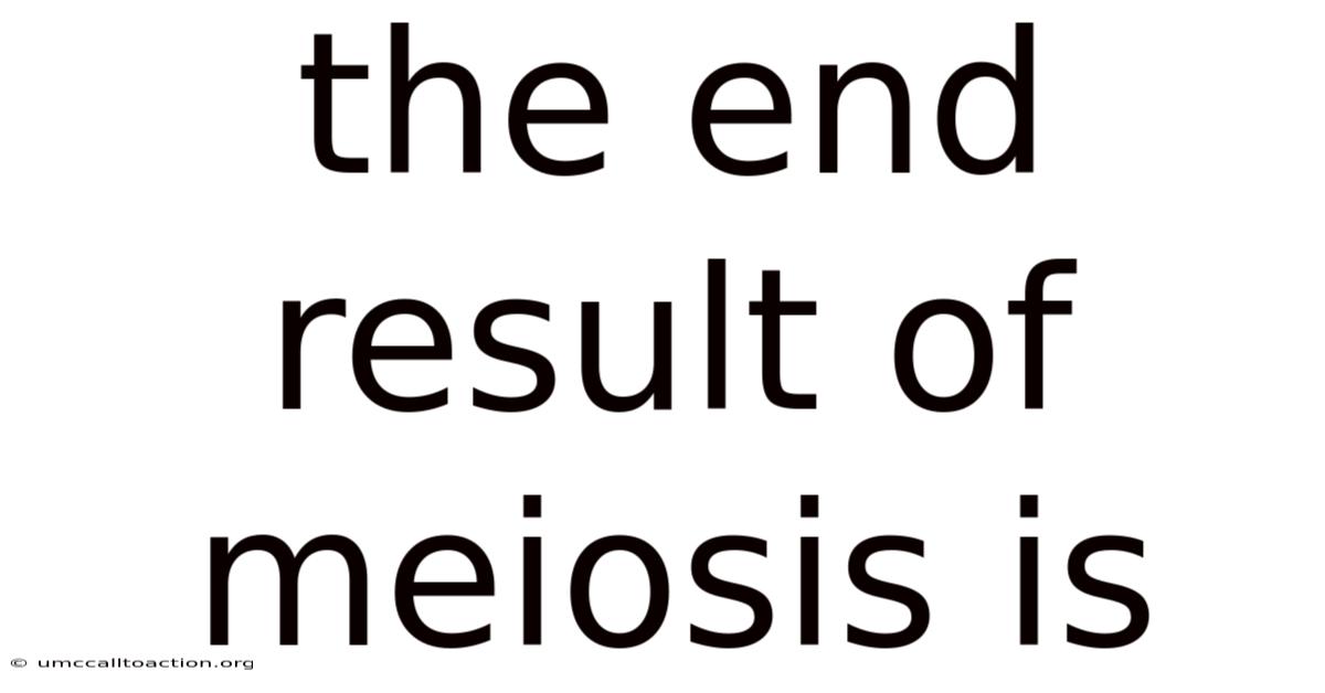 The End Result Of Meiosis Is