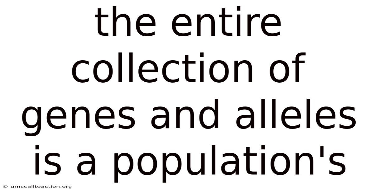 The Entire Collection Of Genes And Alleles Is A Population's