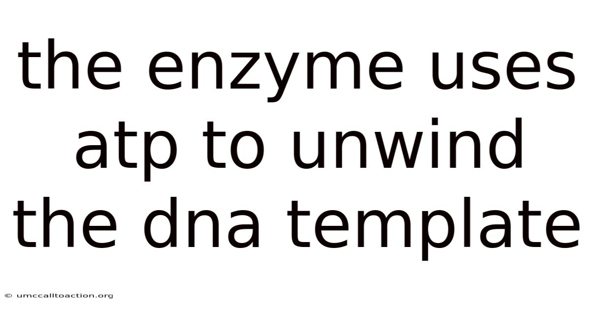 The Enzyme Uses Atp To Unwind The Dna Template