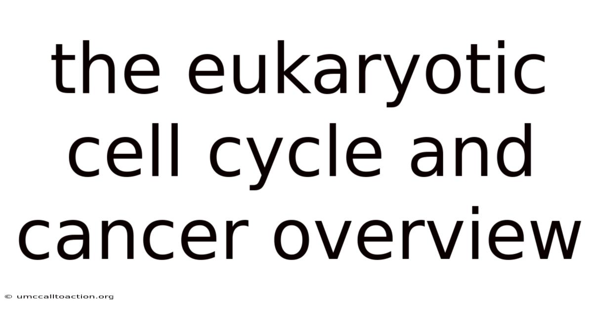The Eukaryotic Cell Cycle And Cancer Overview