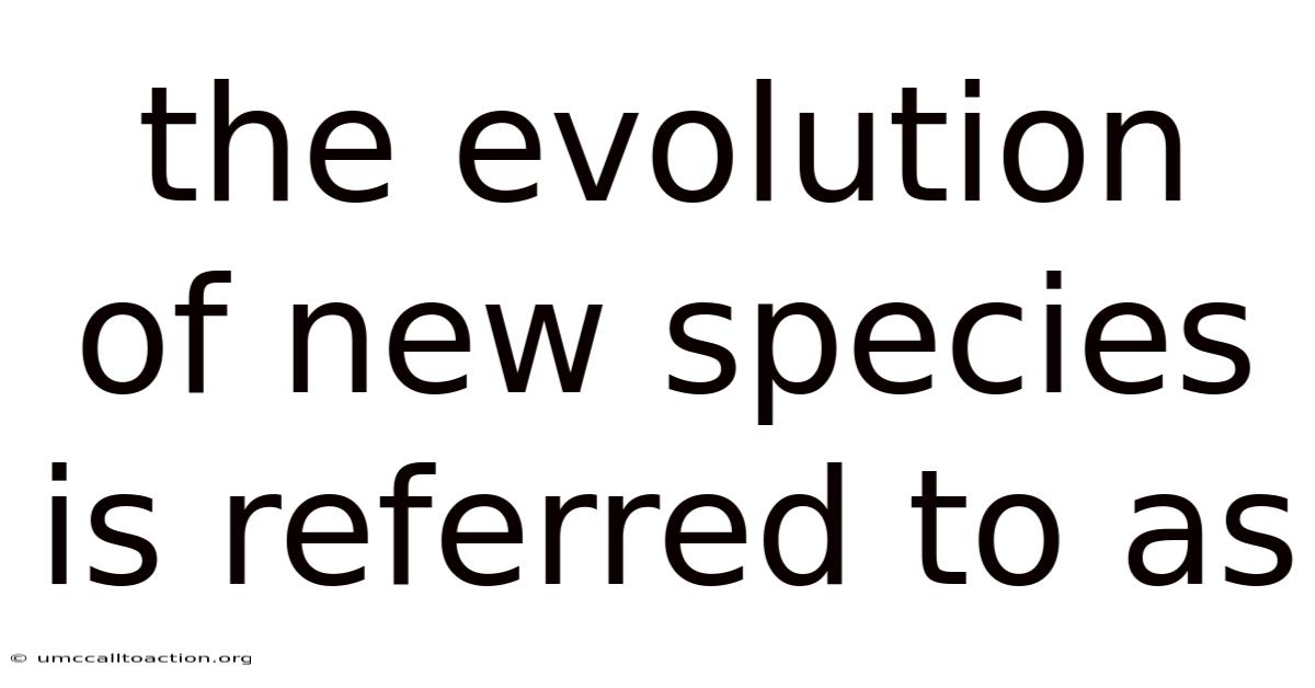 The Evolution Of New Species Is Referred To As
