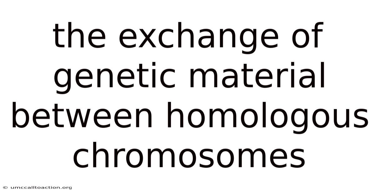 The Exchange Of Genetic Material Between Homologous Chromosomes