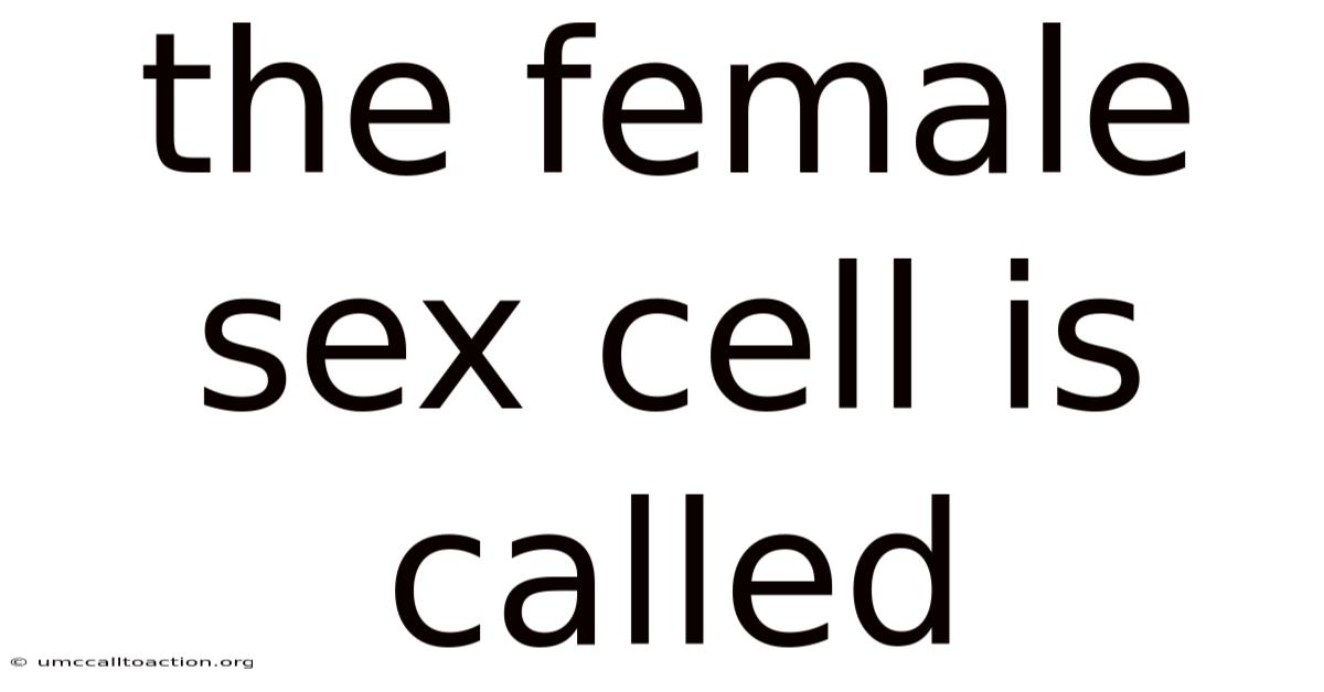 The Female Sex Cell Is Called