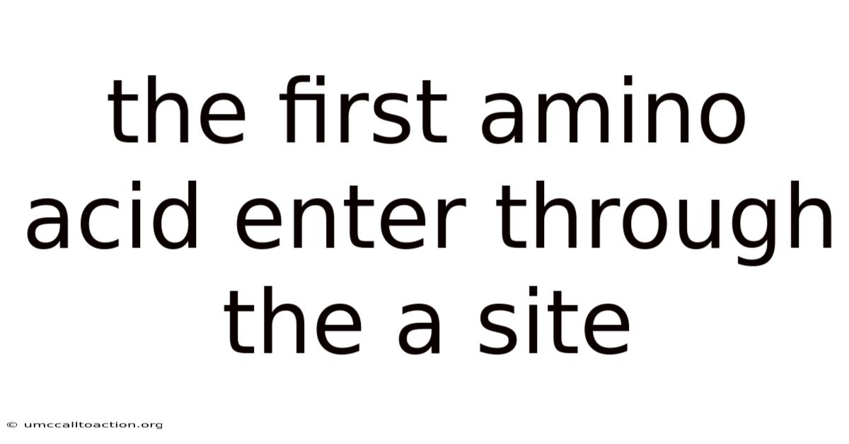 The First Amino Acid Enter Through The A Site