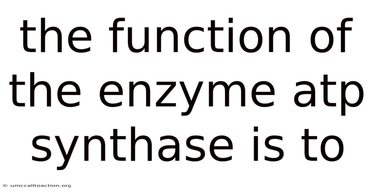 The Function Of The Enzyme Atp Synthase Is To