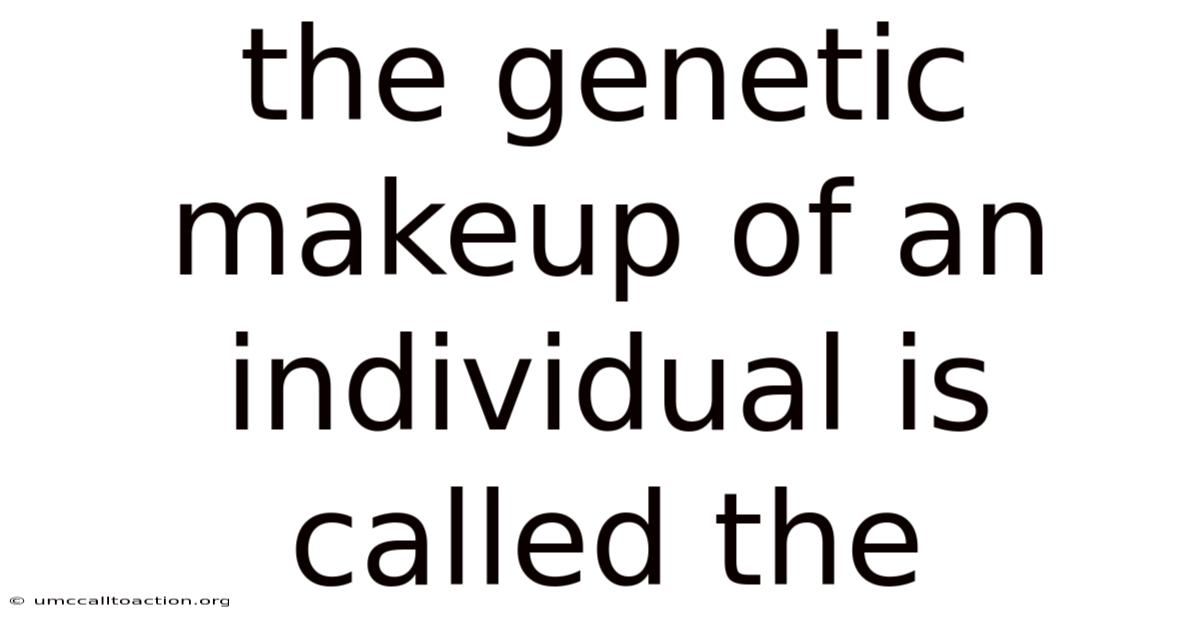 The Genetic Makeup Of An Individual Is Called The