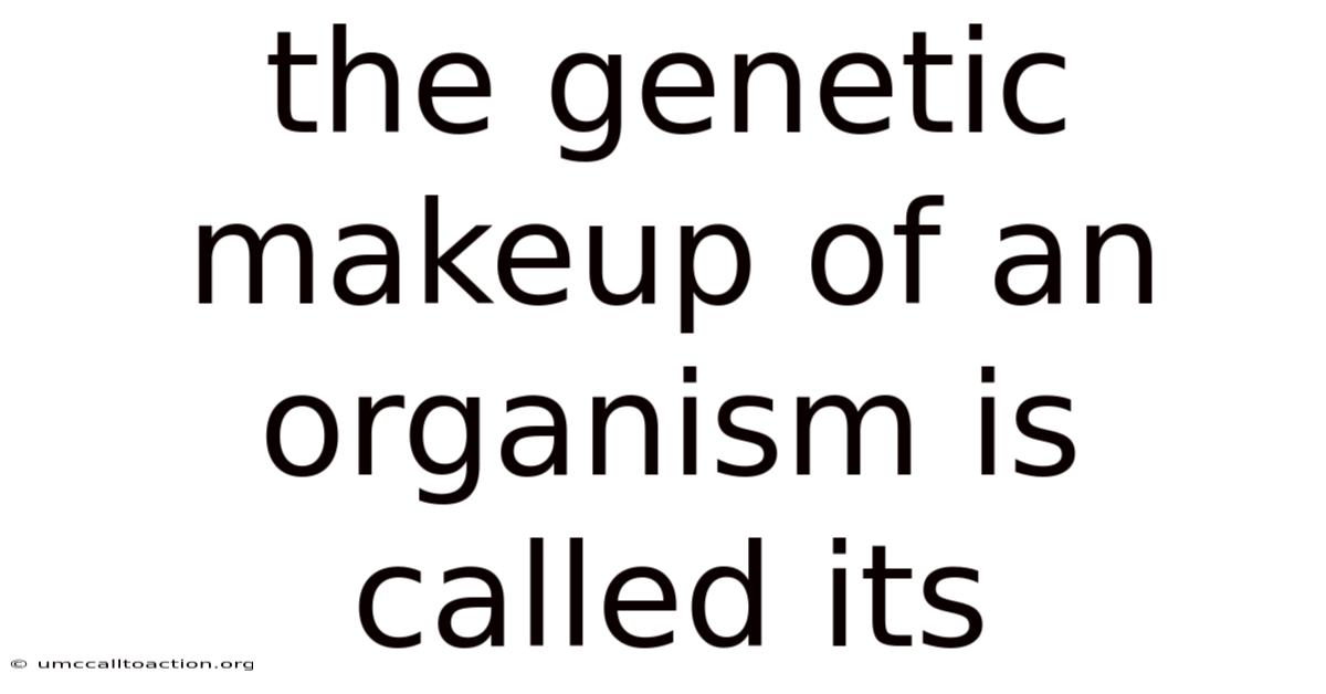 The Genetic Makeup Of An Organism Is Called Its