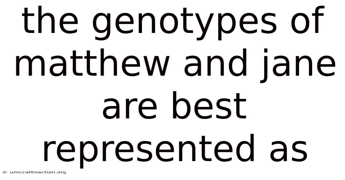 The Genotypes Of Matthew And Jane Are Best Represented As