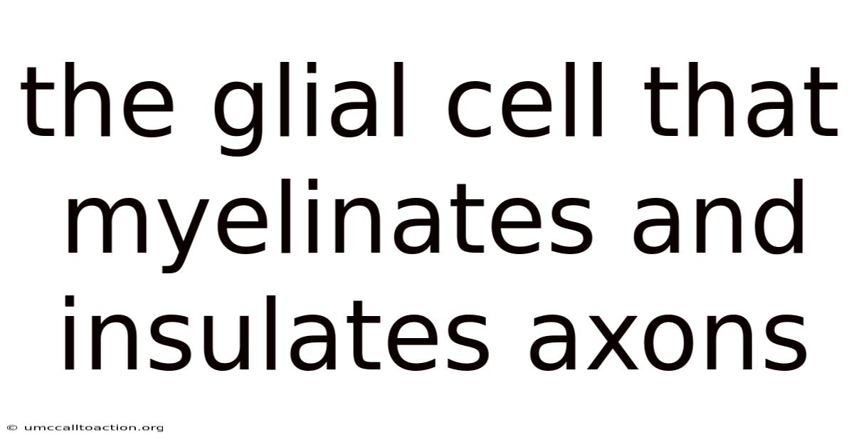 The Glial Cell That Myelinates And Insulates Axons