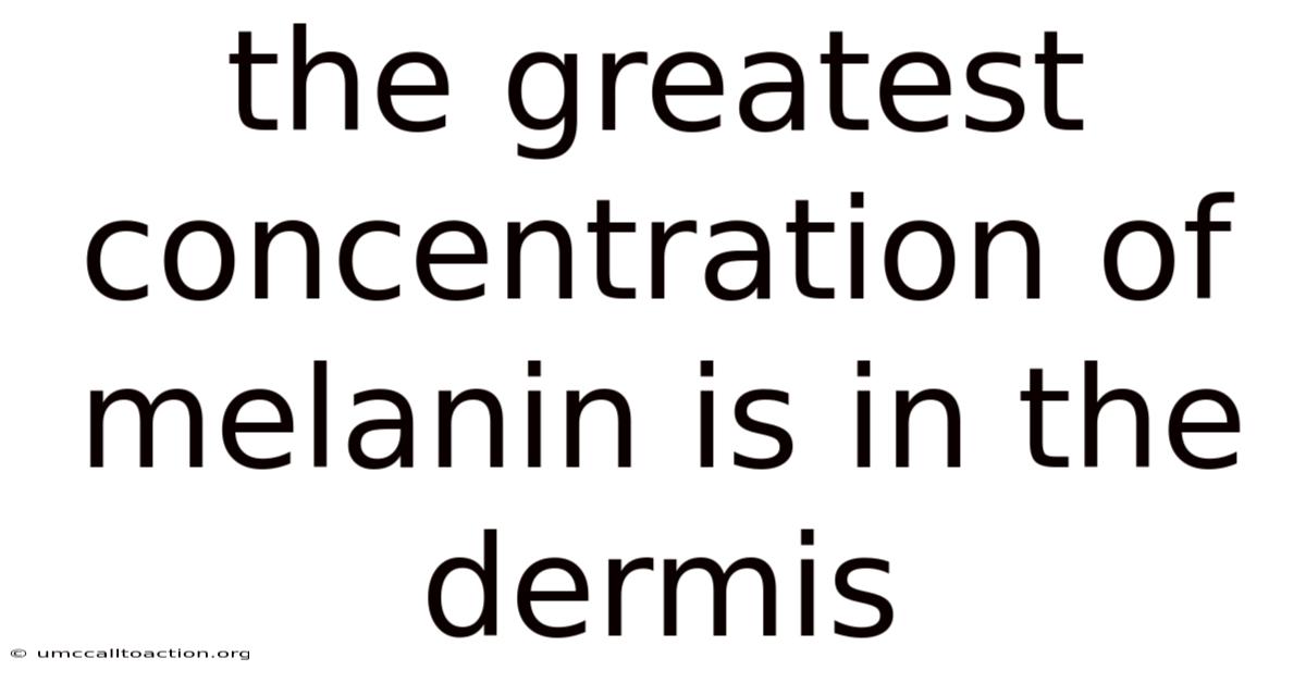 The Greatest Concentration Of Melanin Is In The Dermis