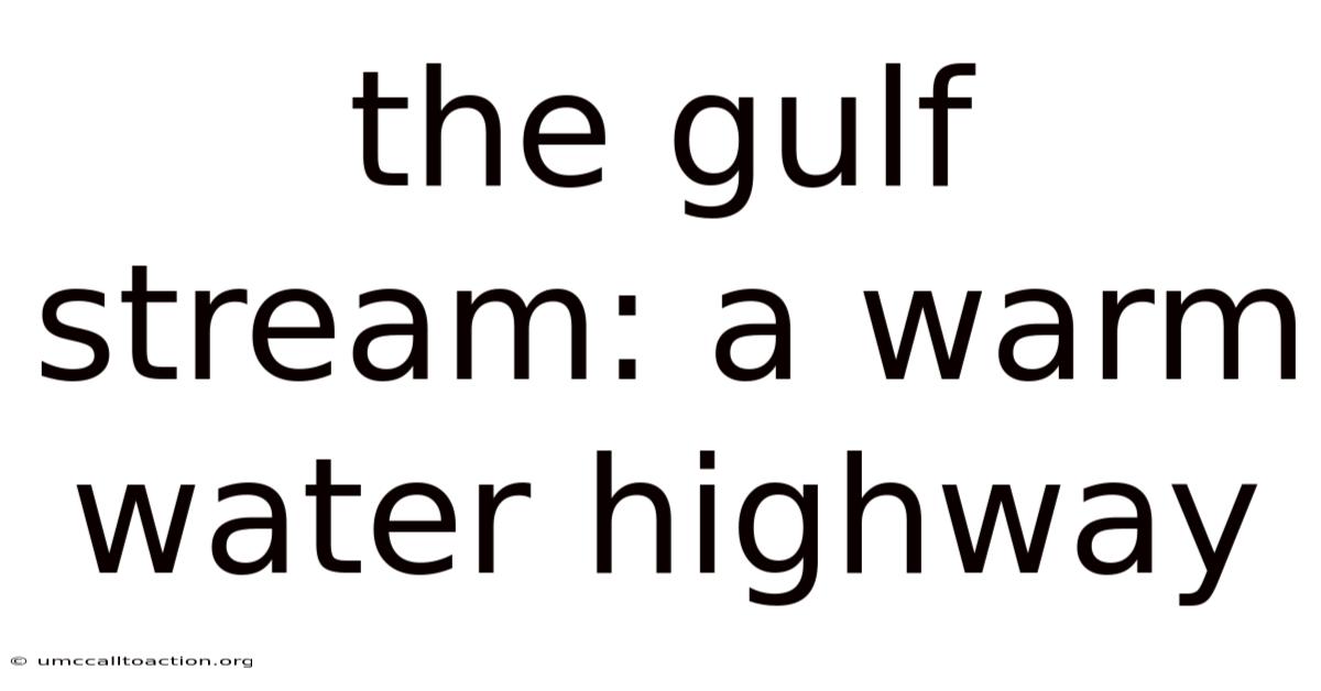 The Gulf Stream: A Warm Water Highway