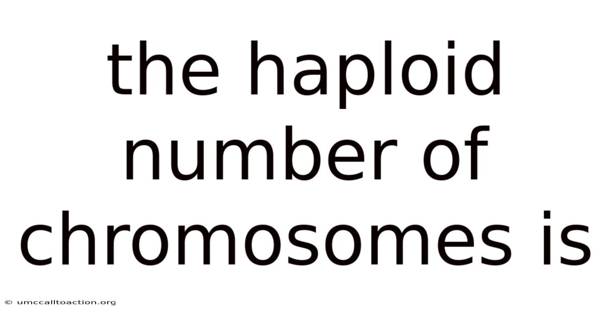 The Haploid Number Of Chromosomes Is