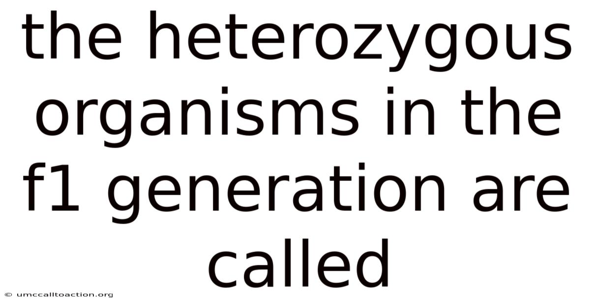 The Heterozygous Organisms In The F1 Generation Are Called