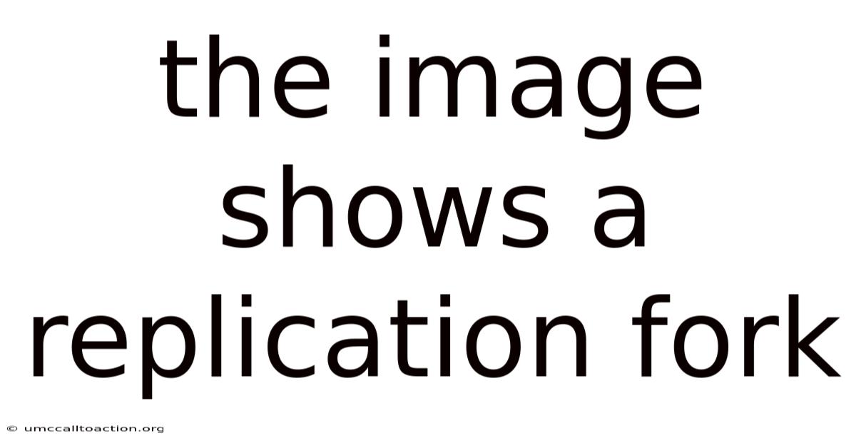 The Image Shows A Replication Fork