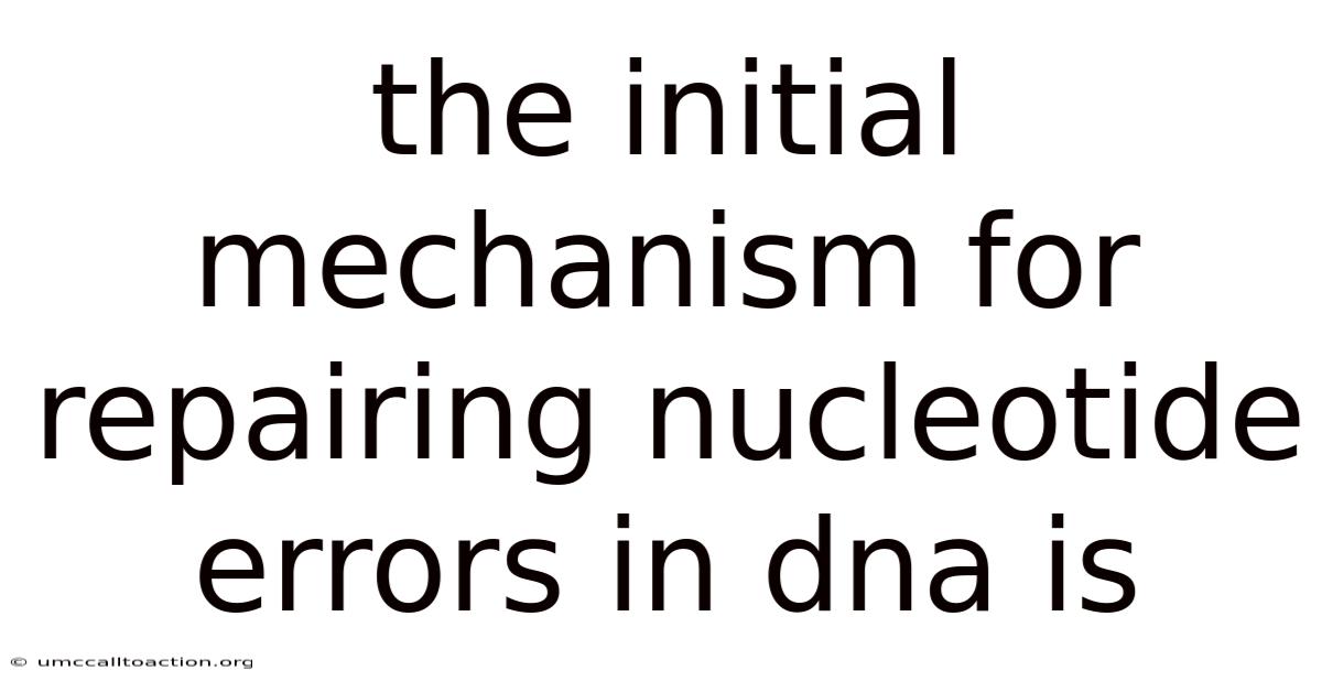 The Initial Mechanism For Repairing Nucleotide Errors In Dna Is
