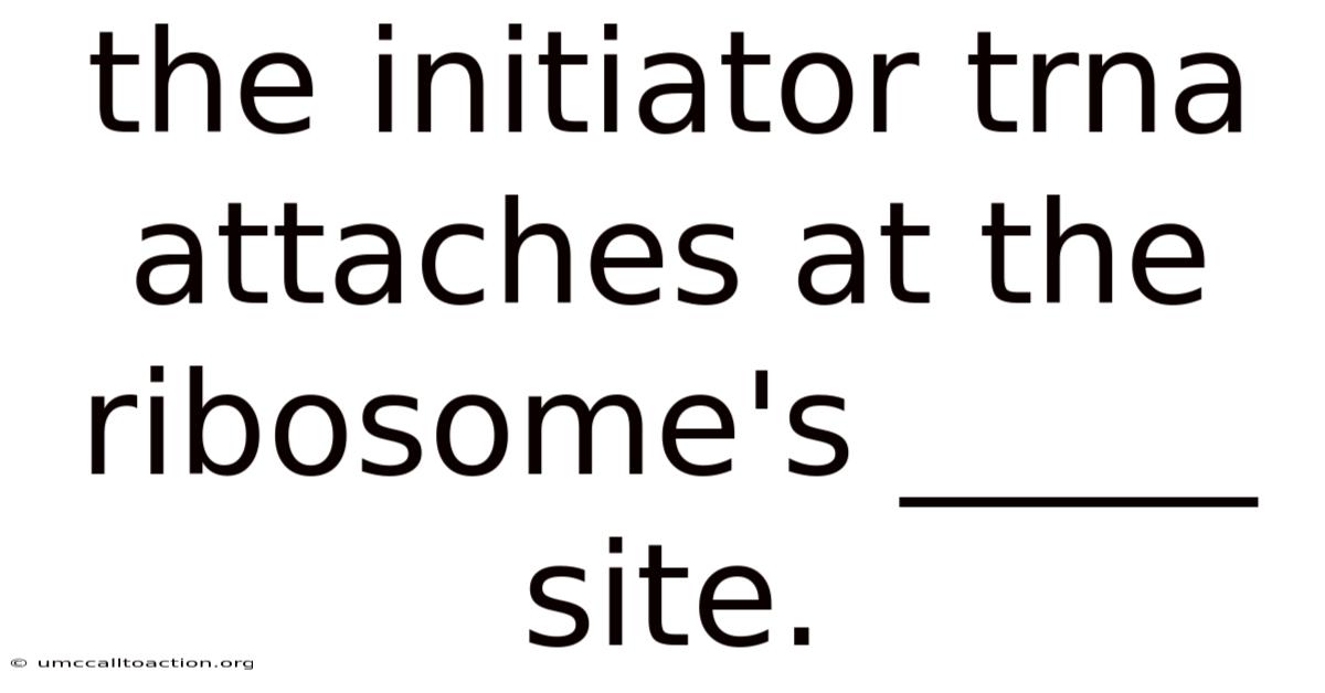 The Initiator Trna Attaches At The Ribosome's _____ Site.