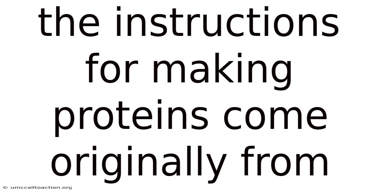 The Instructions For Making Proteins Come Originally From