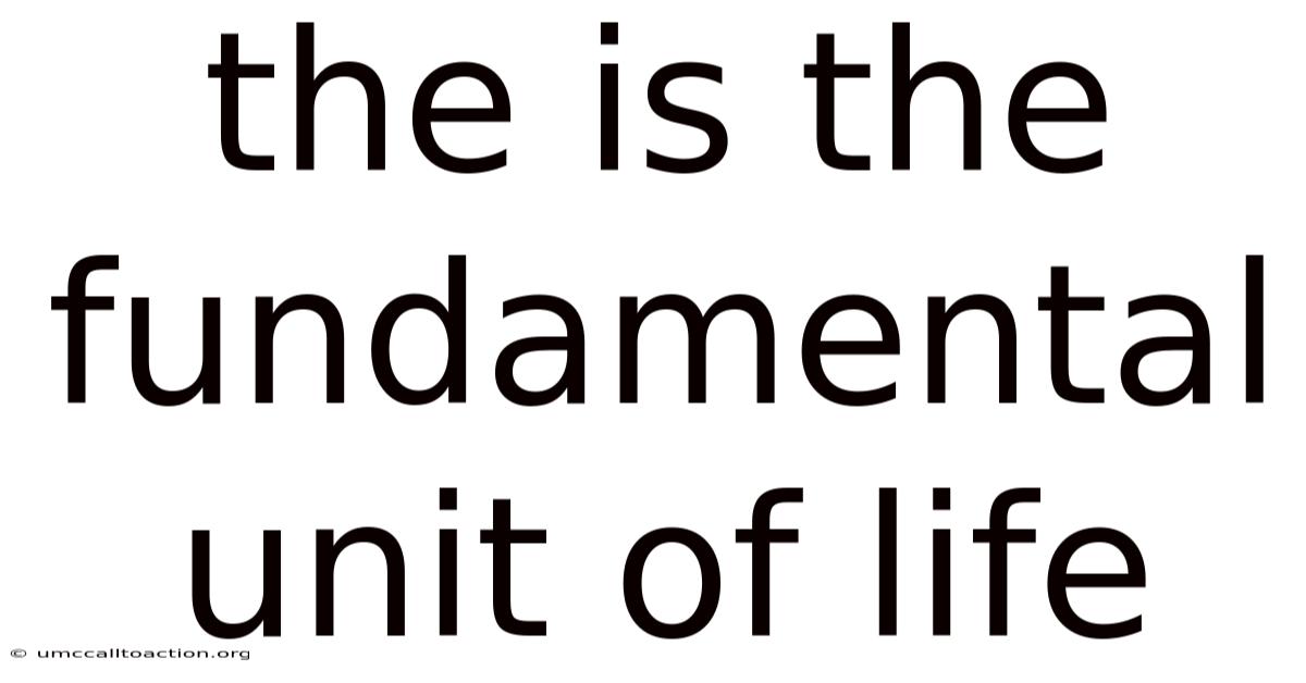 The Is The Fundamental Unit Of Life