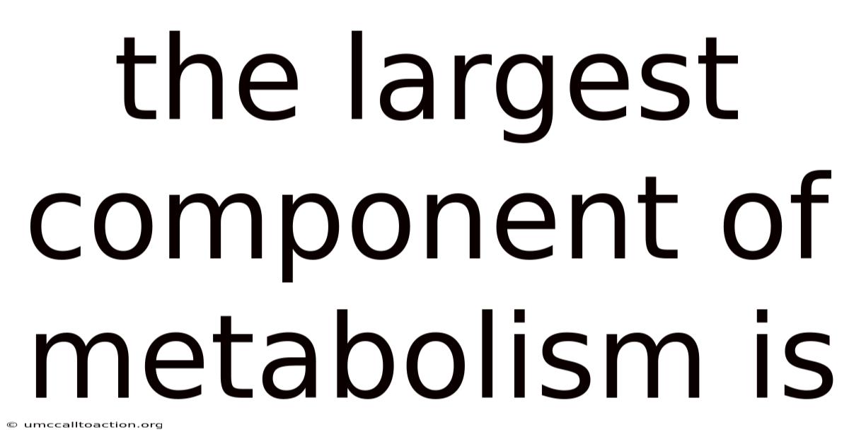 The Largest Component Of Metabolism Is