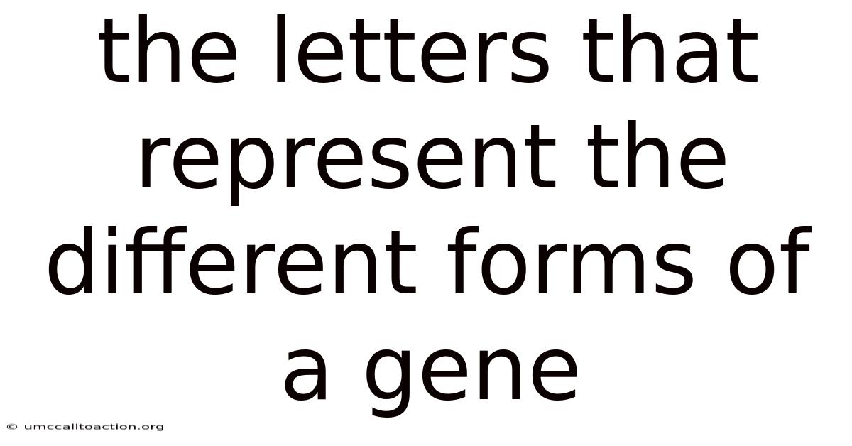 The Letters That Represent The Different Forms Of A Gene