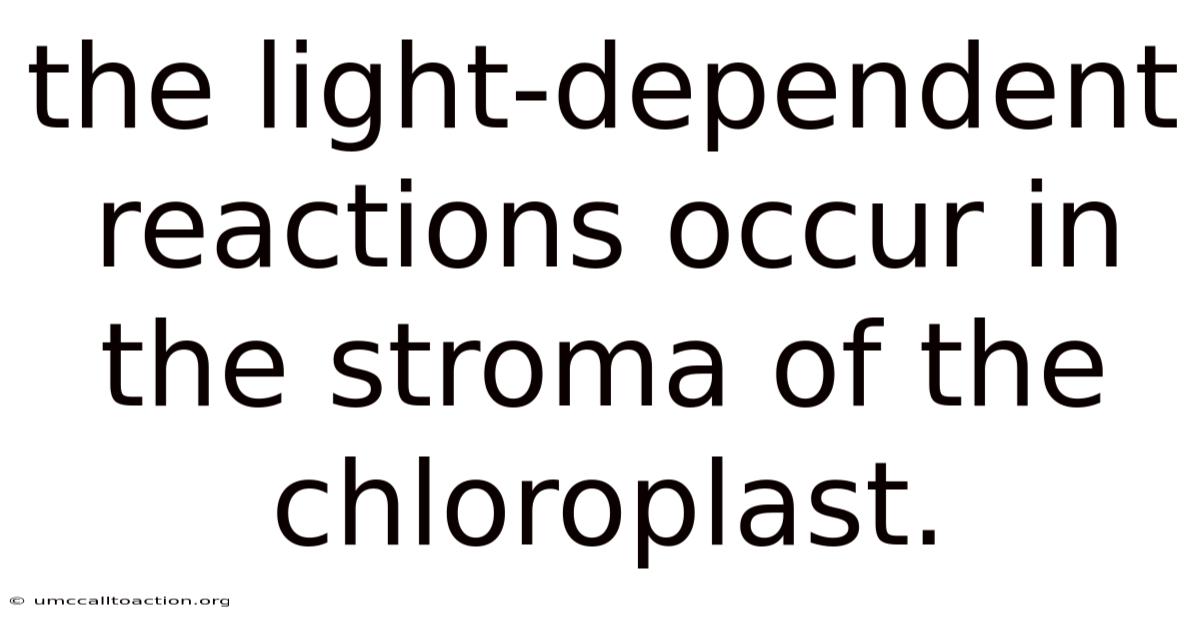 The Light-dependent Reactions Occur In The Stroma Of The Chloroplast.