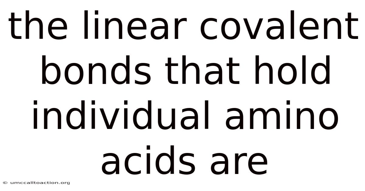 The Linear Covalent Bonds That Hold Individual Amino Acids Are