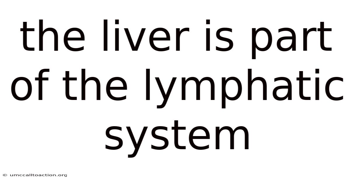 The Liver Is Part Of The Lymphatic System
