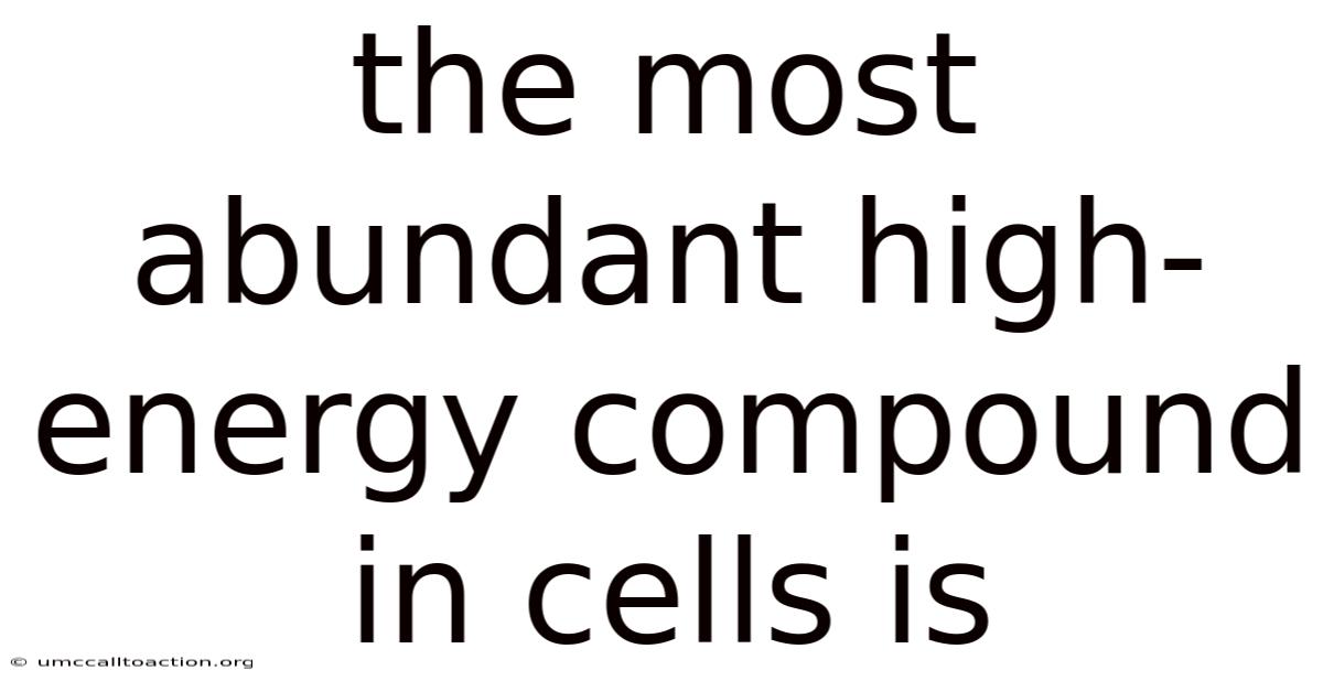 The Most Abundant High-energy Compound In Cells Is