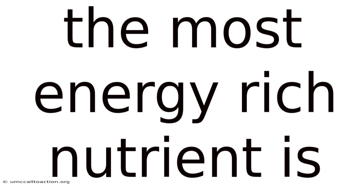 The Most Energy Rich Nutrient Is